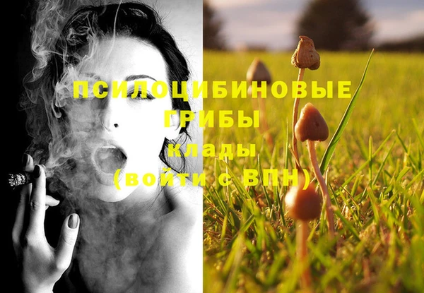 экстази Алзамай
