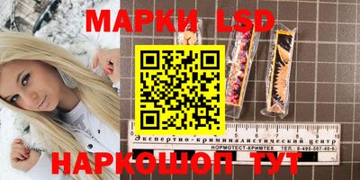 гидра Новозыбков