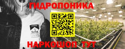 гидра Новозыбков