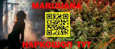 гидра Новозыбков