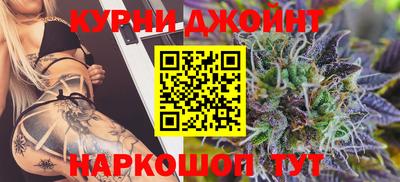 гидра Новозыбков