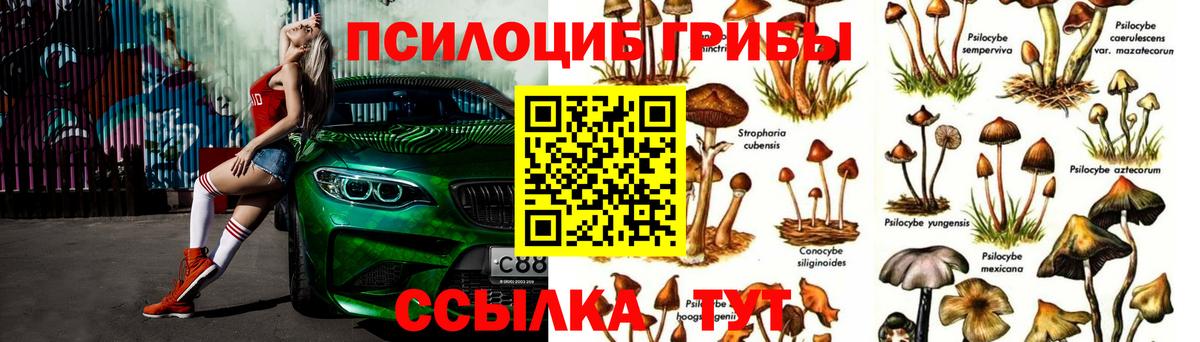 Псилоцибиновые грибы MAGIC MUSHROOMS Черкесск